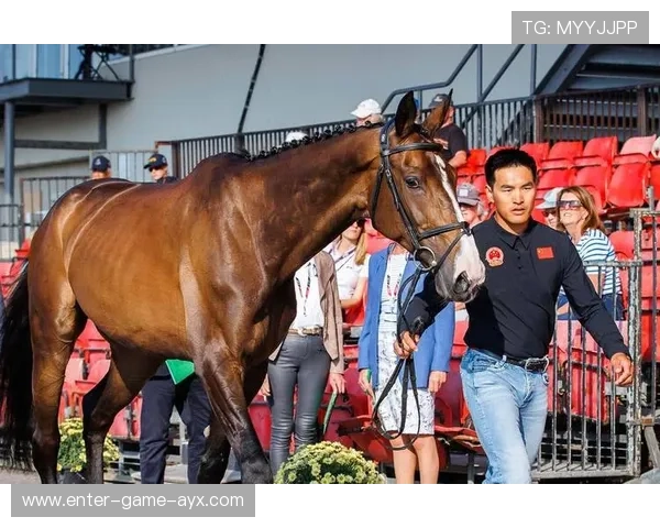 全国青少年马术系列赛开赛，多名骑手表现成熟