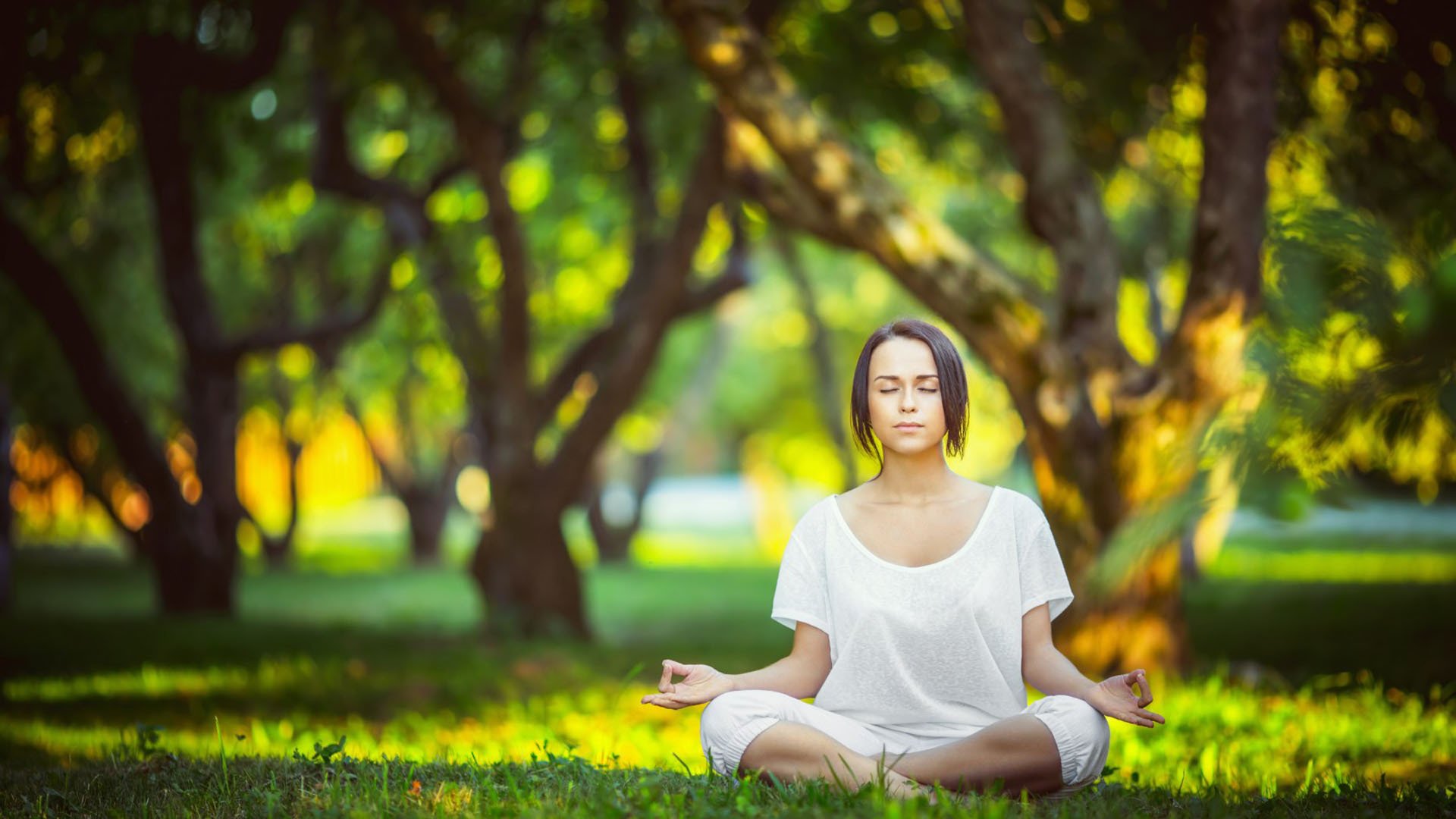 世界花式单板公益营招募：草根滑手获得系统训练机会，世界单板滑雪运动员排名